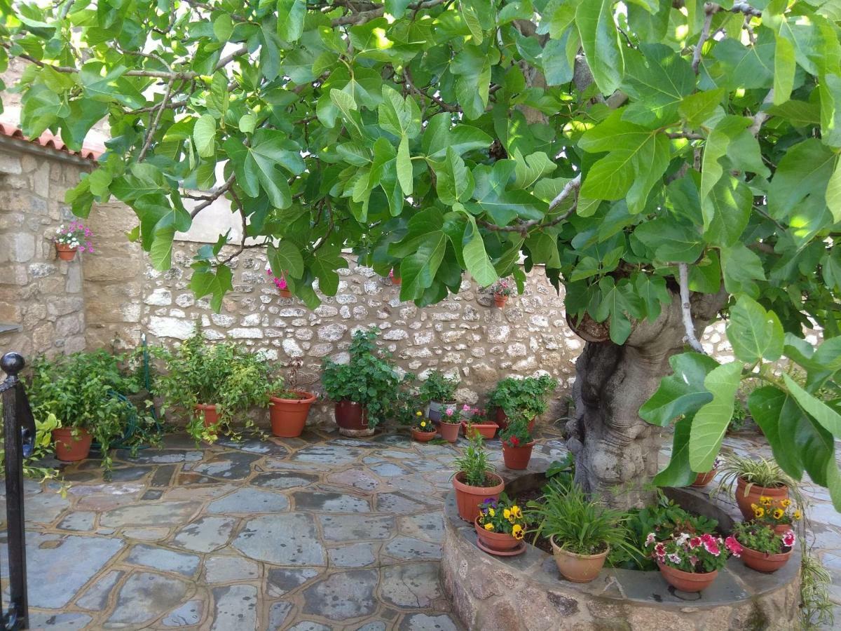 Apartamentos Rurales Tia Maria Mata de Alcántara Zewnętrze zdjęcie